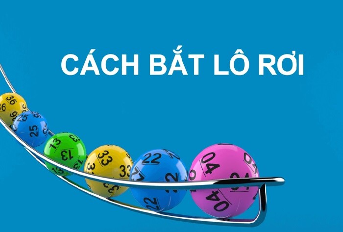 Cach Bat Lo Roi 1