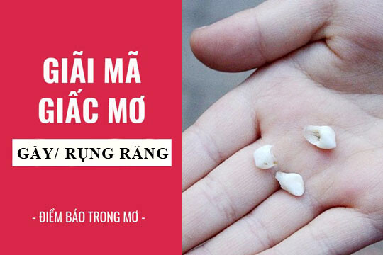 Nam Mo Thay Rung Rang Ham Tren